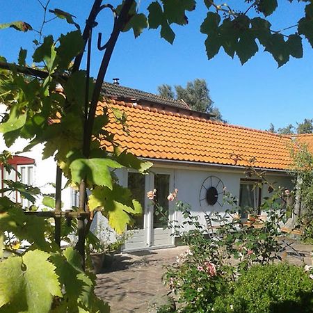 Apartamento De Vrijheid-Melkstal De Cocksdorp  Exterior foto