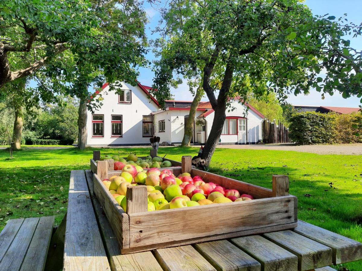 Apartamento De Vrijheid-Melkstal De Cocksdorp  Exterior foto